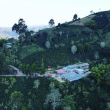 Colombia El Diviso (2025)