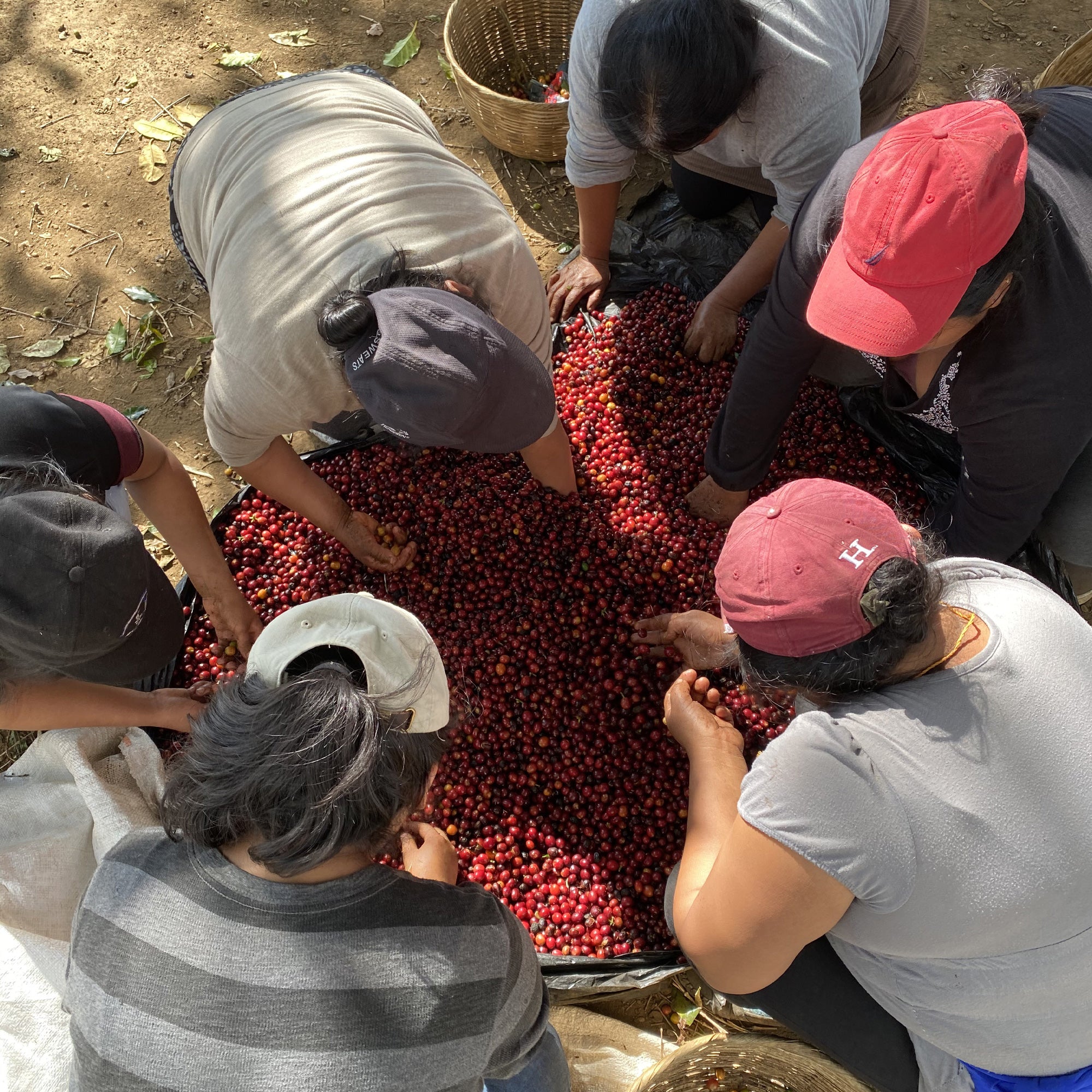 El Salvador Le Majeda