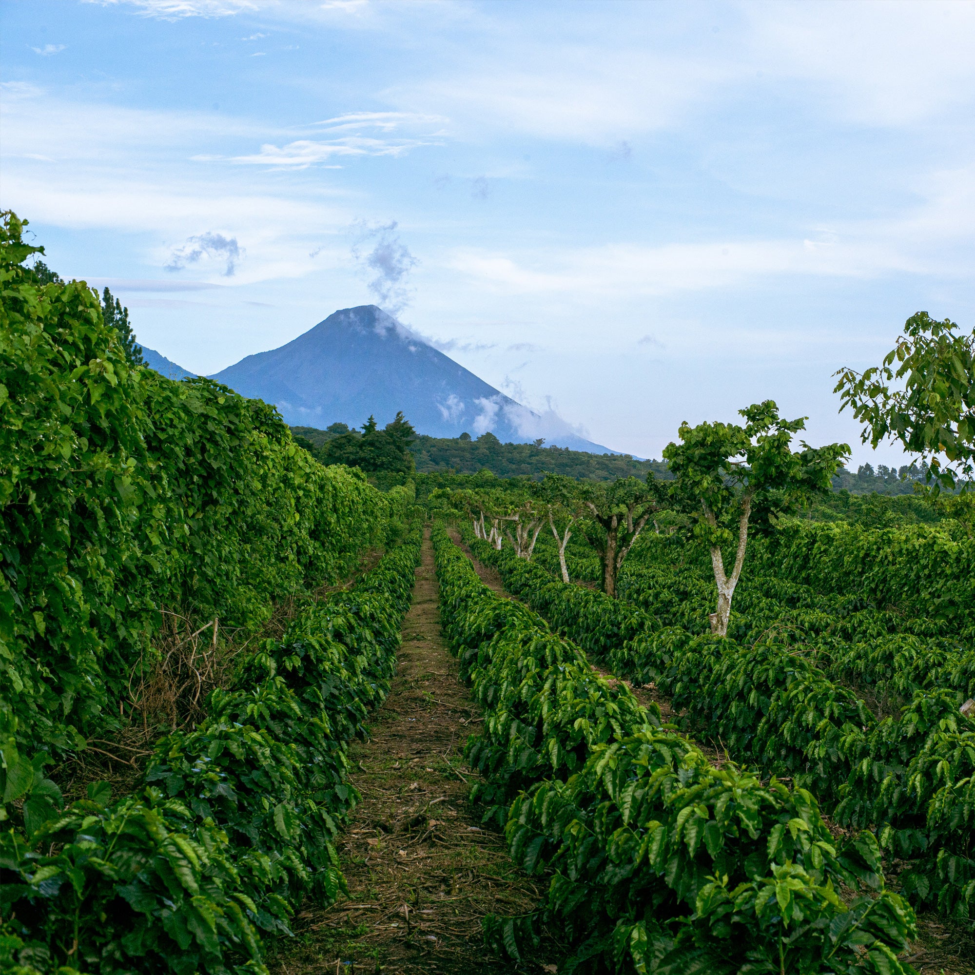 El Salvador Le Majeda