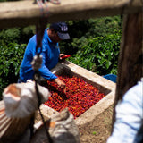 Colombia La Reserva