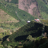 Colombia La Reserva