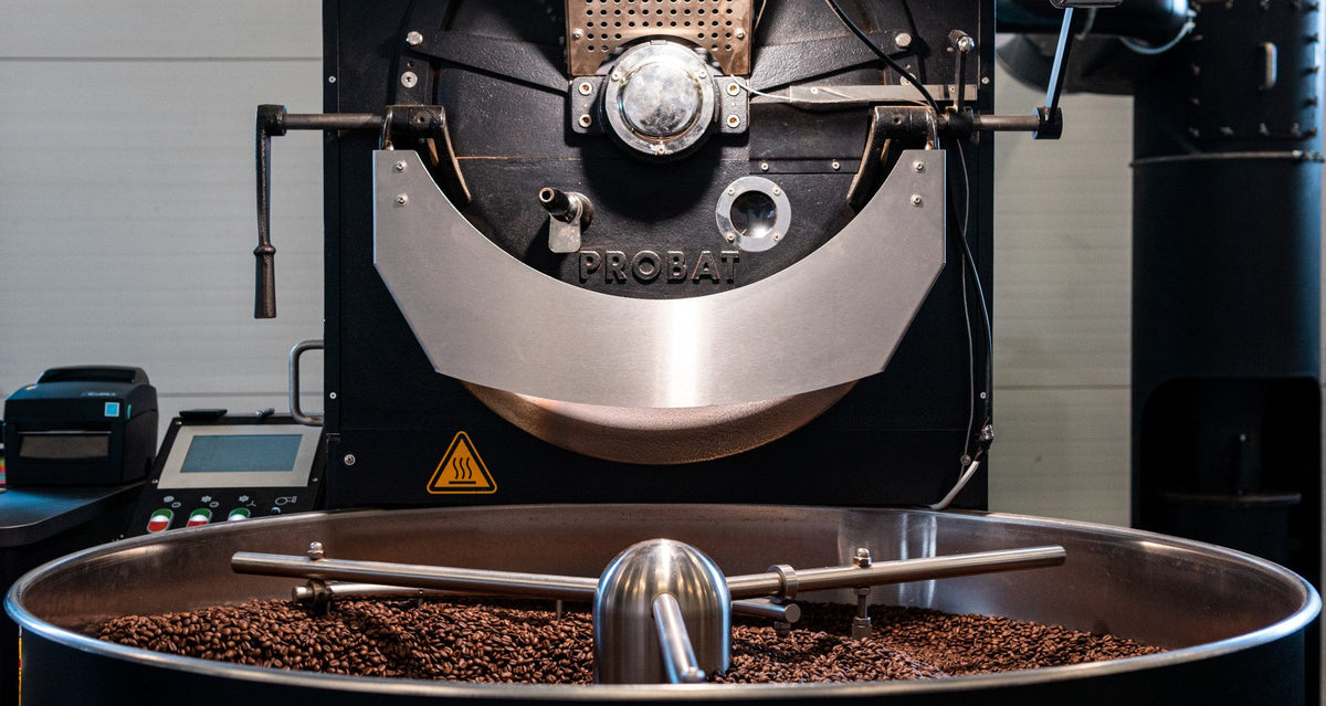 Czym się różni Arabica od Robusty - Porównanie