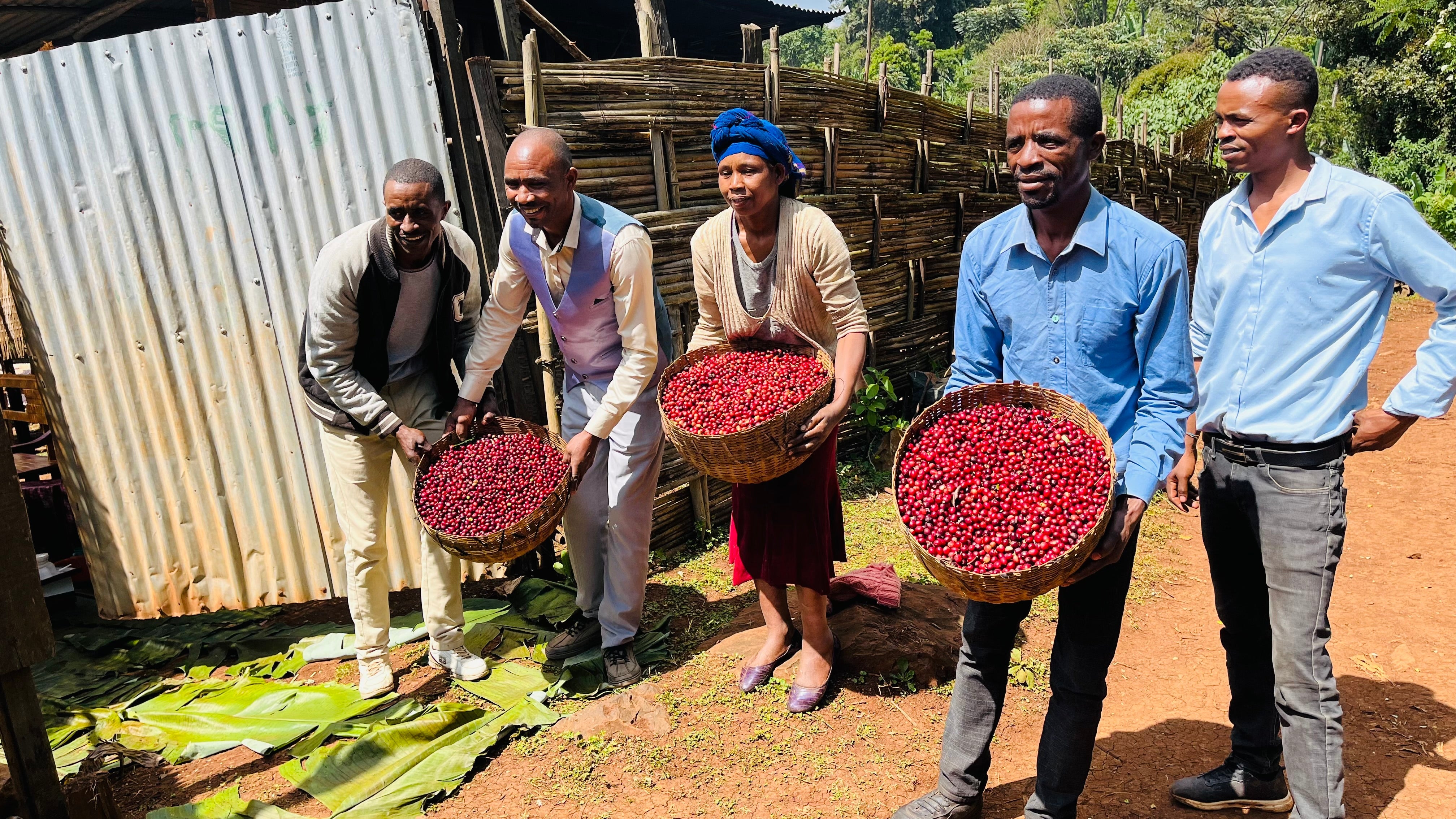 Co oznacza transparentność w kawie specialty i dlaczego ma znaczenie?