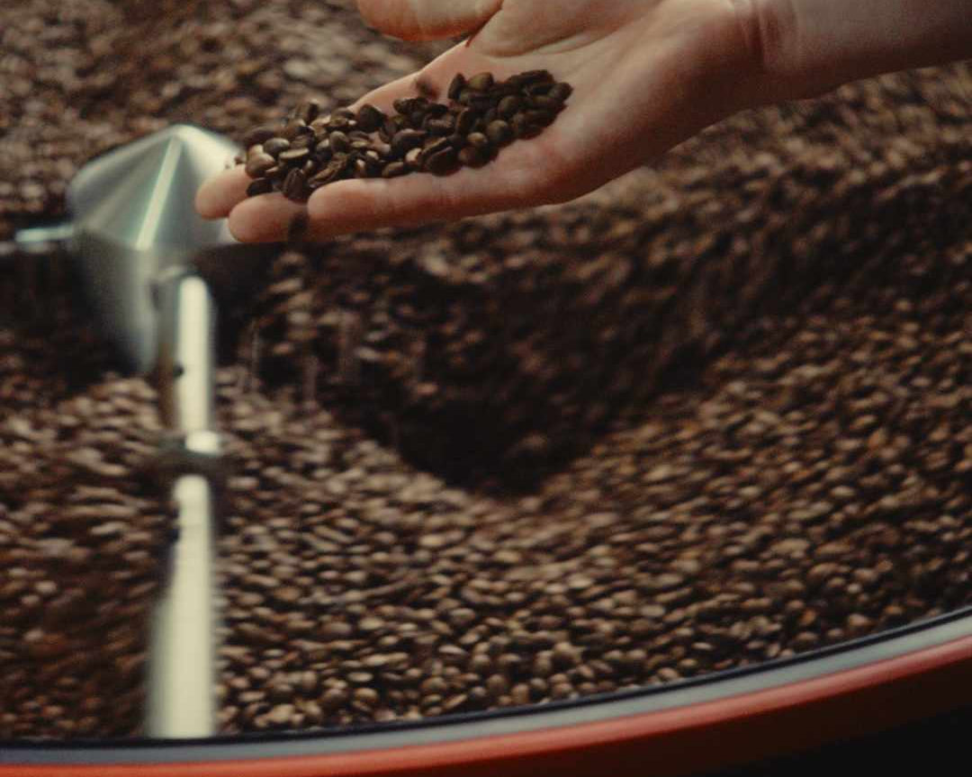 Jasne palenie vs ciemne palenie: jak to wpływa na smak kawy?