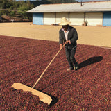 China Fuyan