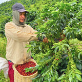 Colombia Pitalito