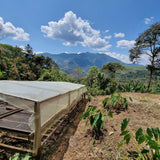Peru Pedro Garcia