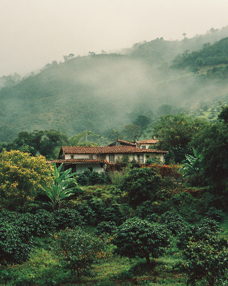 Image slide