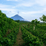 El Salvador Le Majeda
