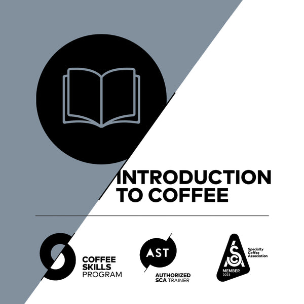 Introduction To Coffee