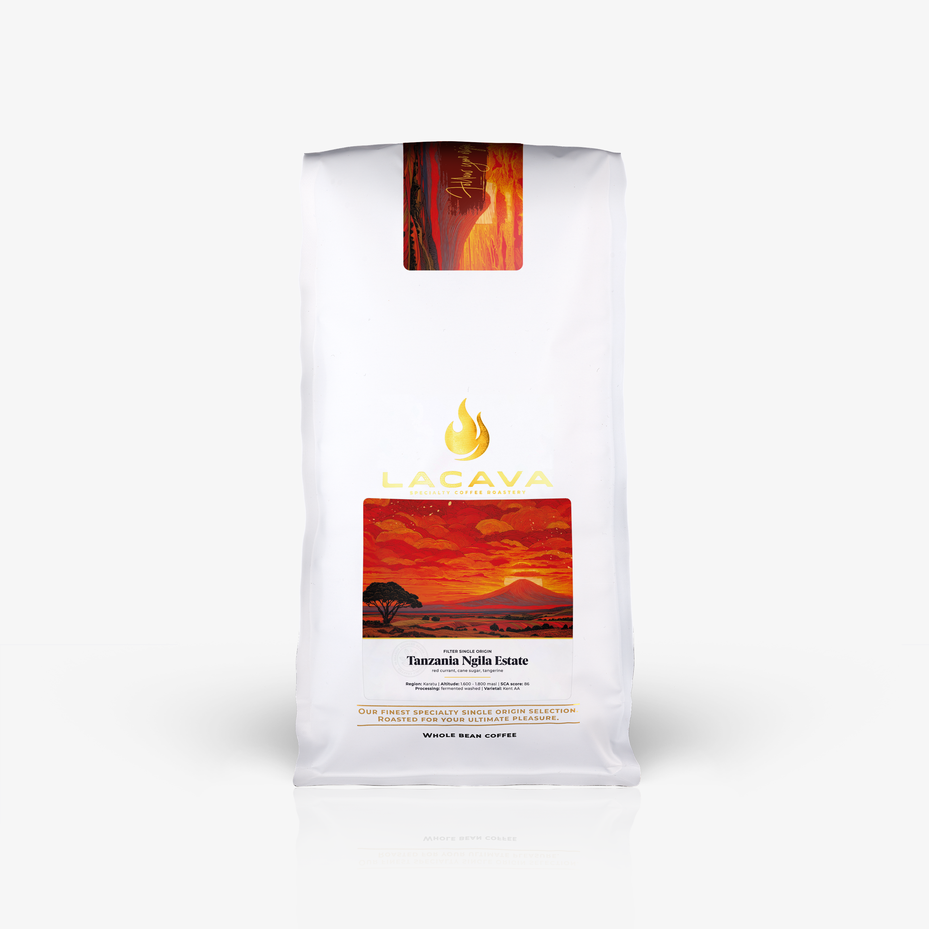 Tanzania Ngila Estate Filter